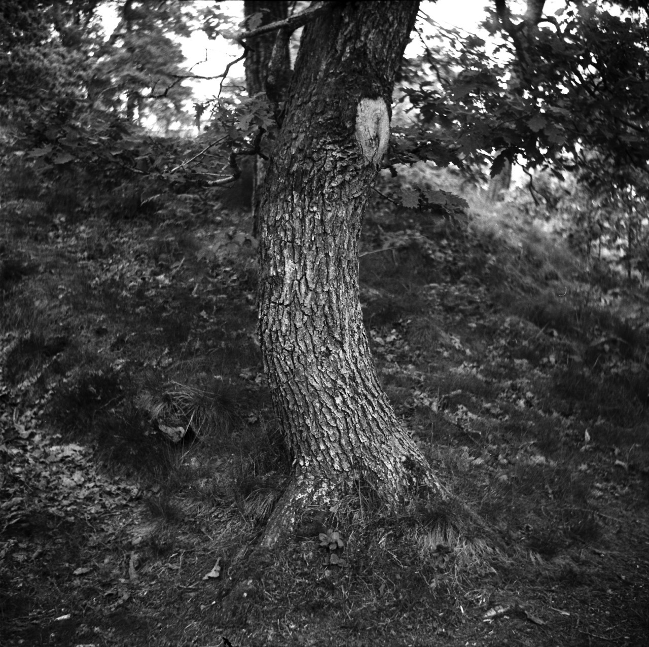 Trollh&auml;ttan, Sweden. May 2016.
