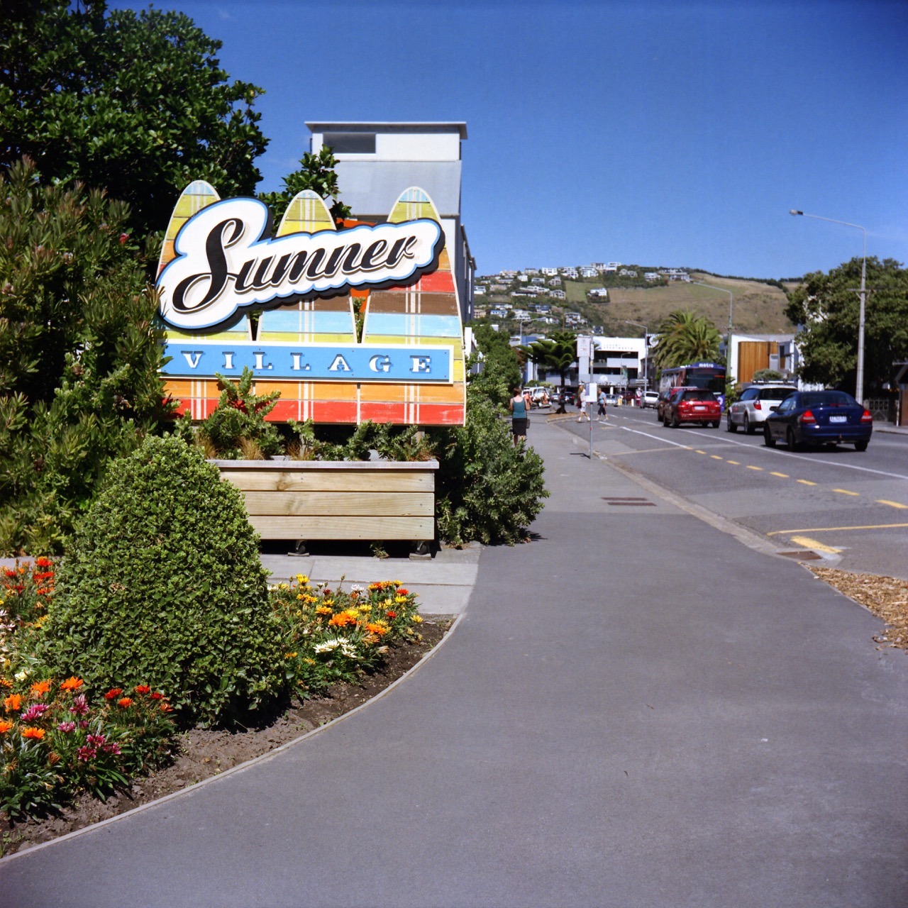 Visiting Sumner – the part of Christchurch we used to live in.