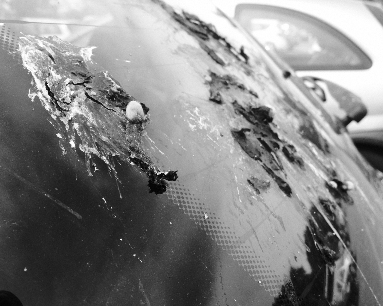 168/365: Beschissen!