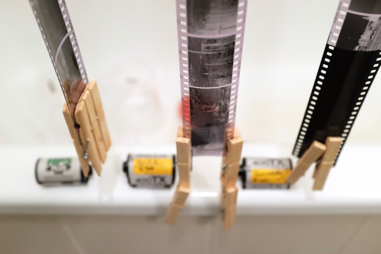 287/365: Developing three rolls in a row.