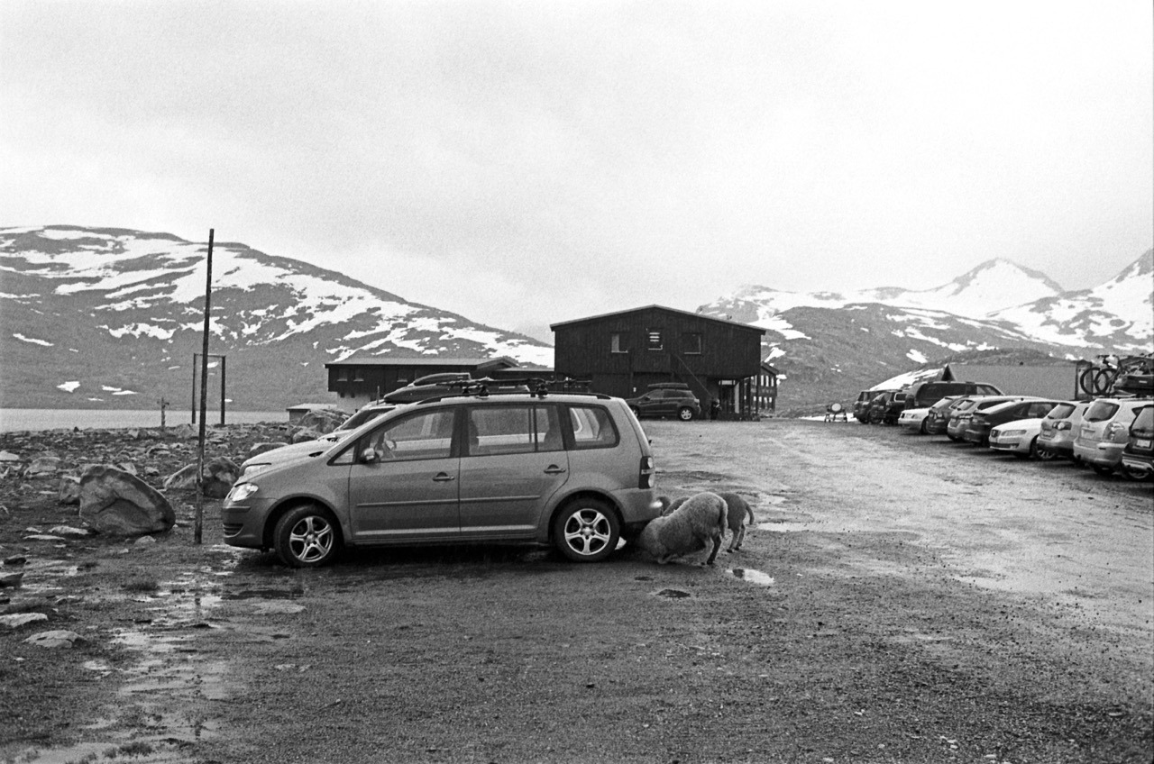 Jotunheimen NP, Norway. July 2016.