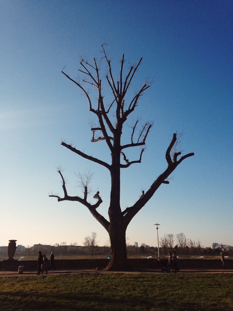 I took a few photos on our walk through D&uuml;sseldorf today. The weather was cold and beautiful.