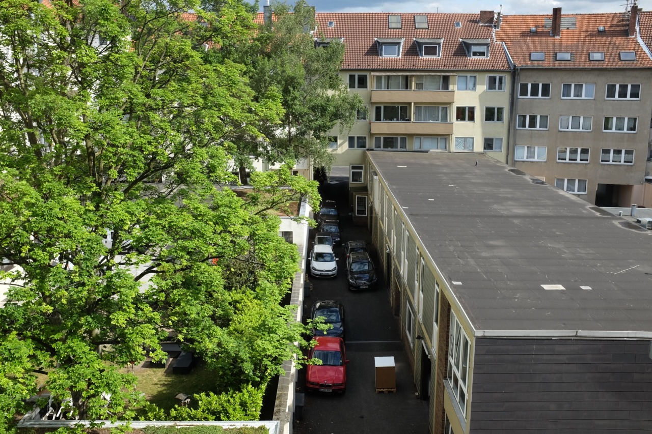 146/365: Rear window, May.