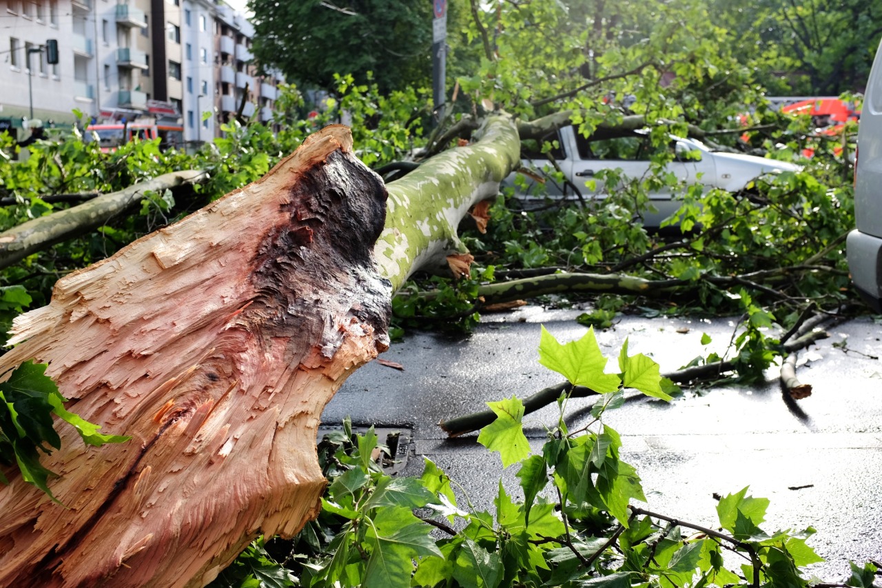 Last night Düsseldorf (and the whole surrounding region) was hit by a storm. These are a few photos I took this morning. They’re all from within only 200 meters from my home, so you might be able to guess what the rest of the city looks like.
I also...
