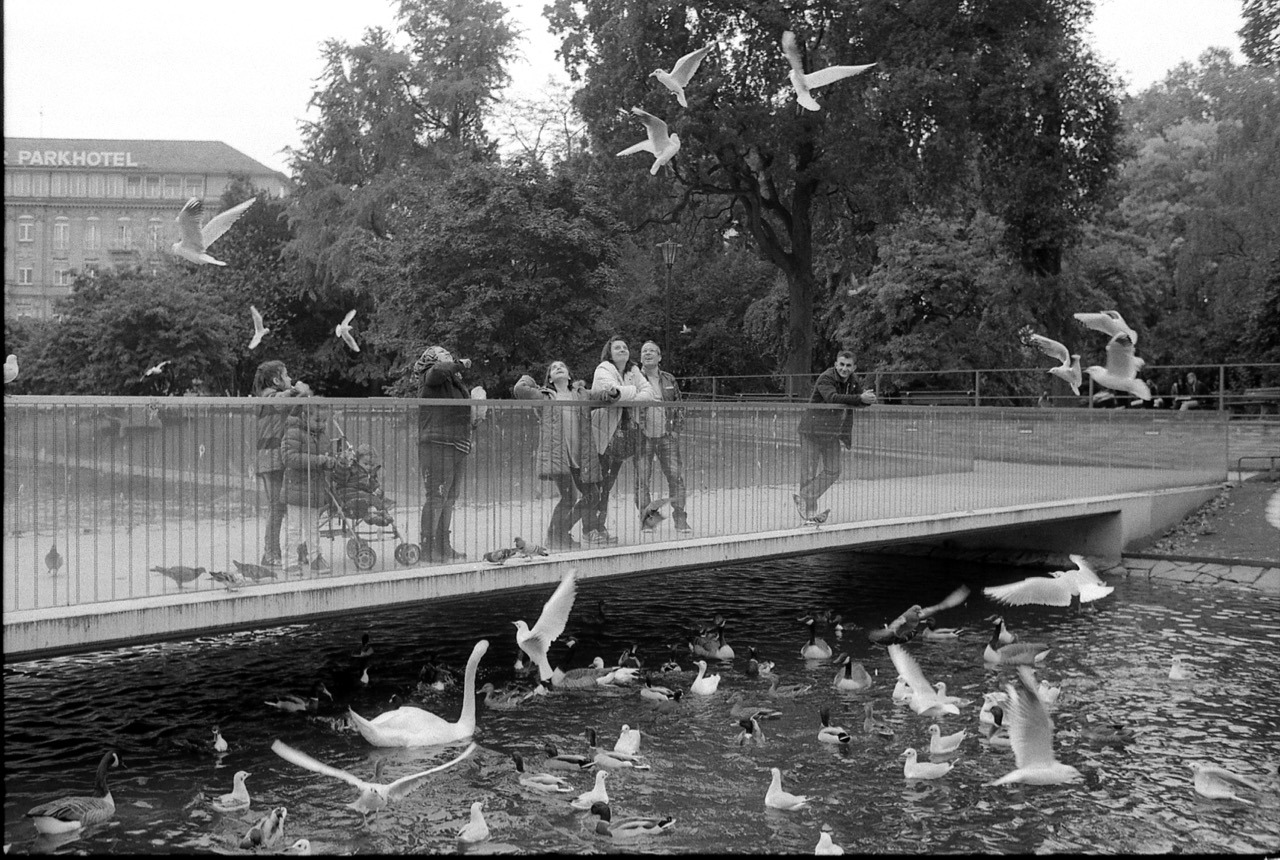 294/365: On a stroll through town&hellip;