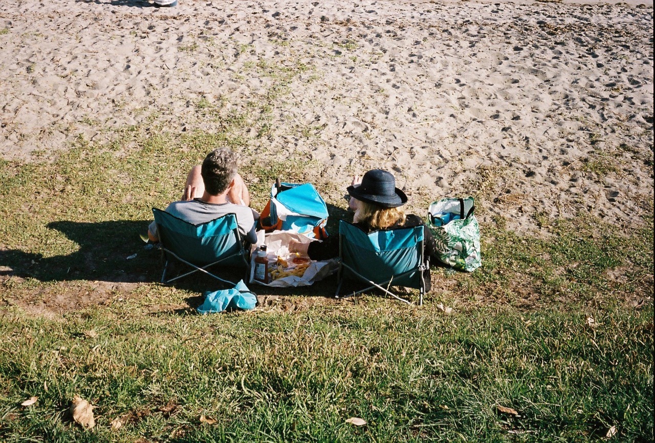 Picnickers. Auckland, January 2016.
