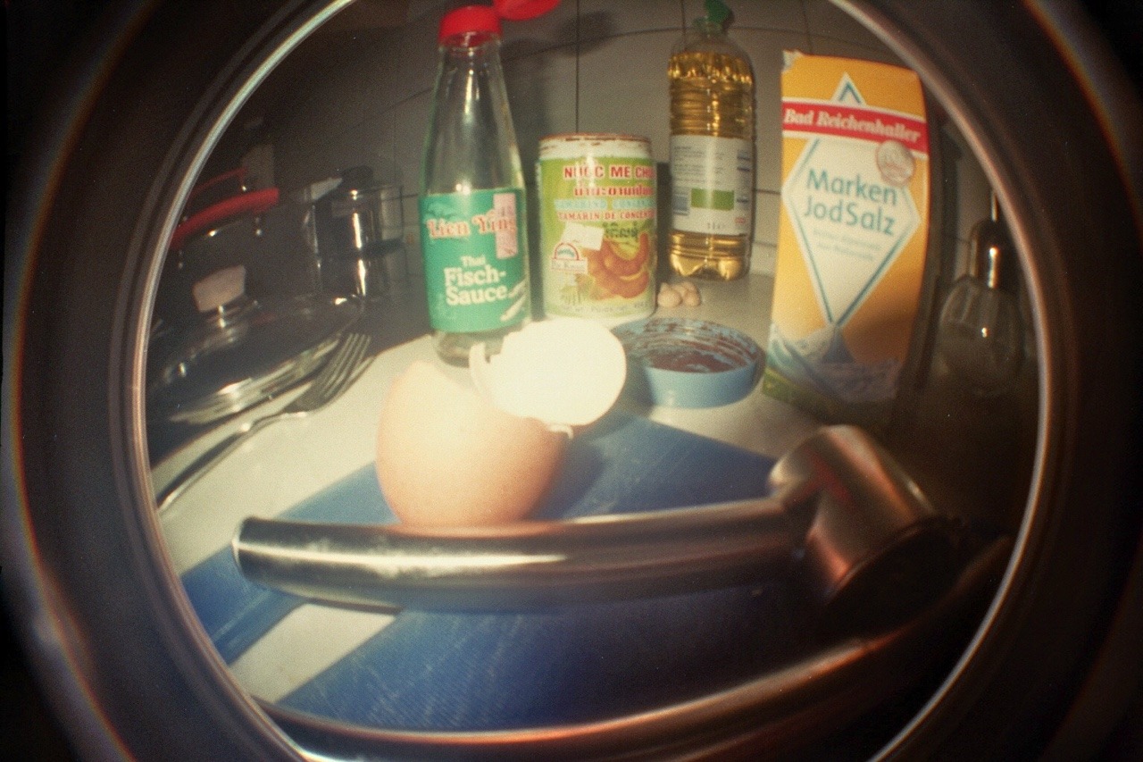 I bought a Lomo Fisheye cam. It’s fun! :-)