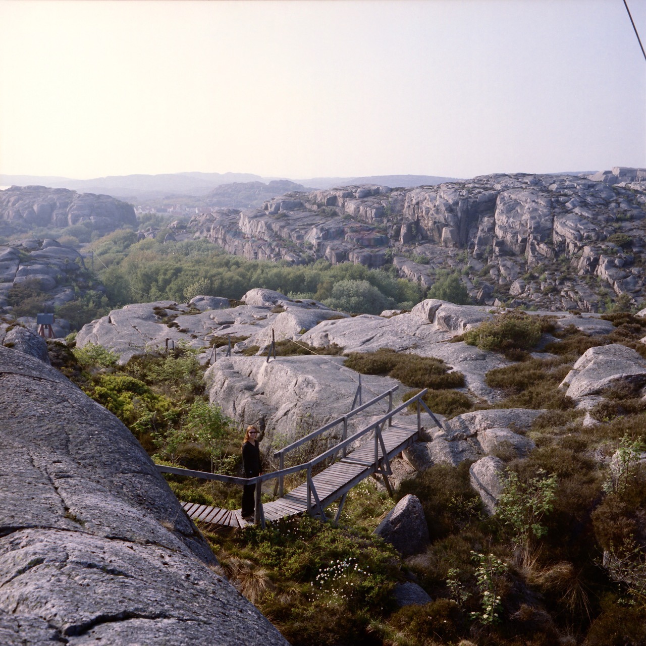 Tjörn, Sweden. May 2016.