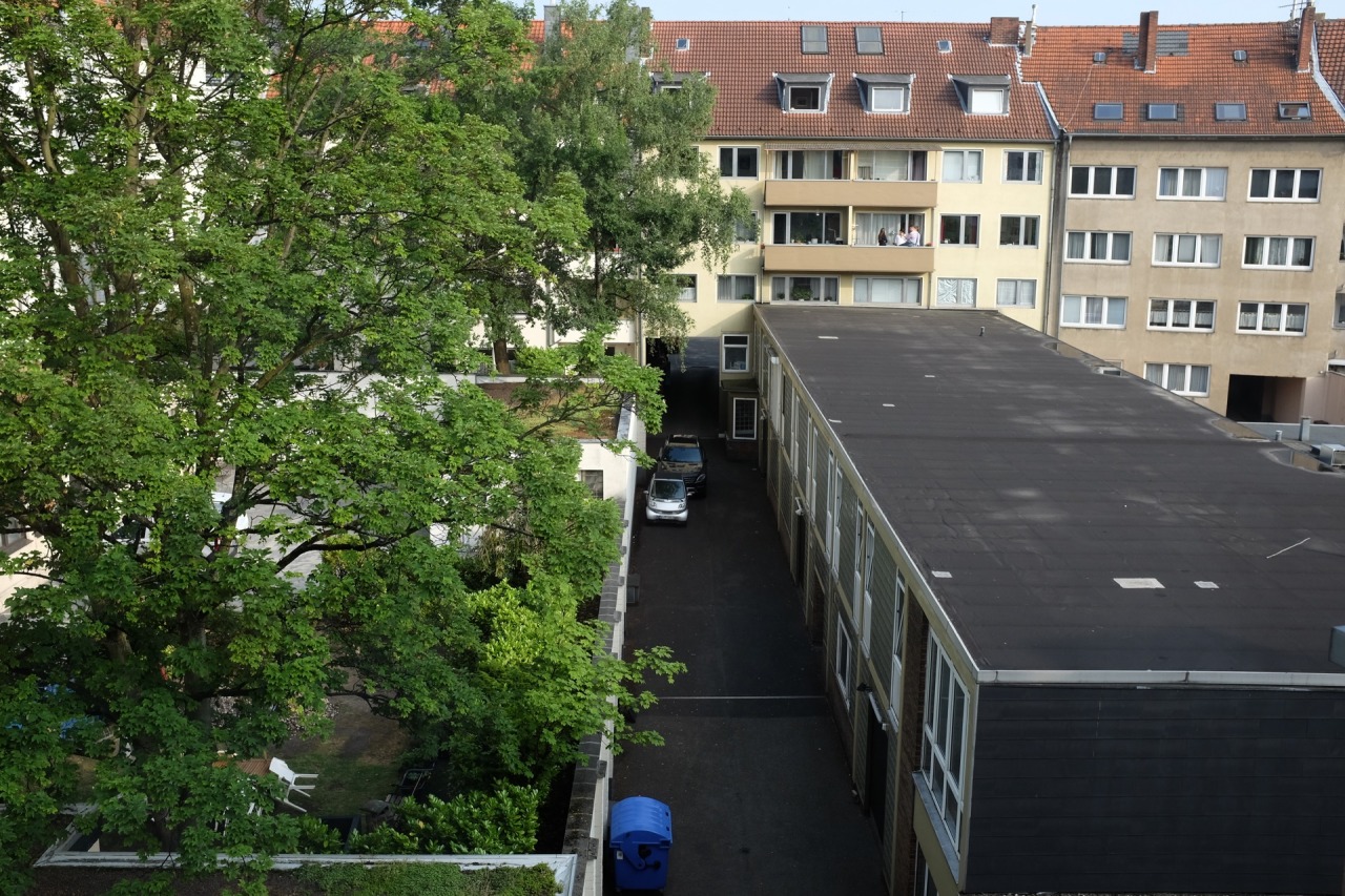 175/365: Rear window, June.