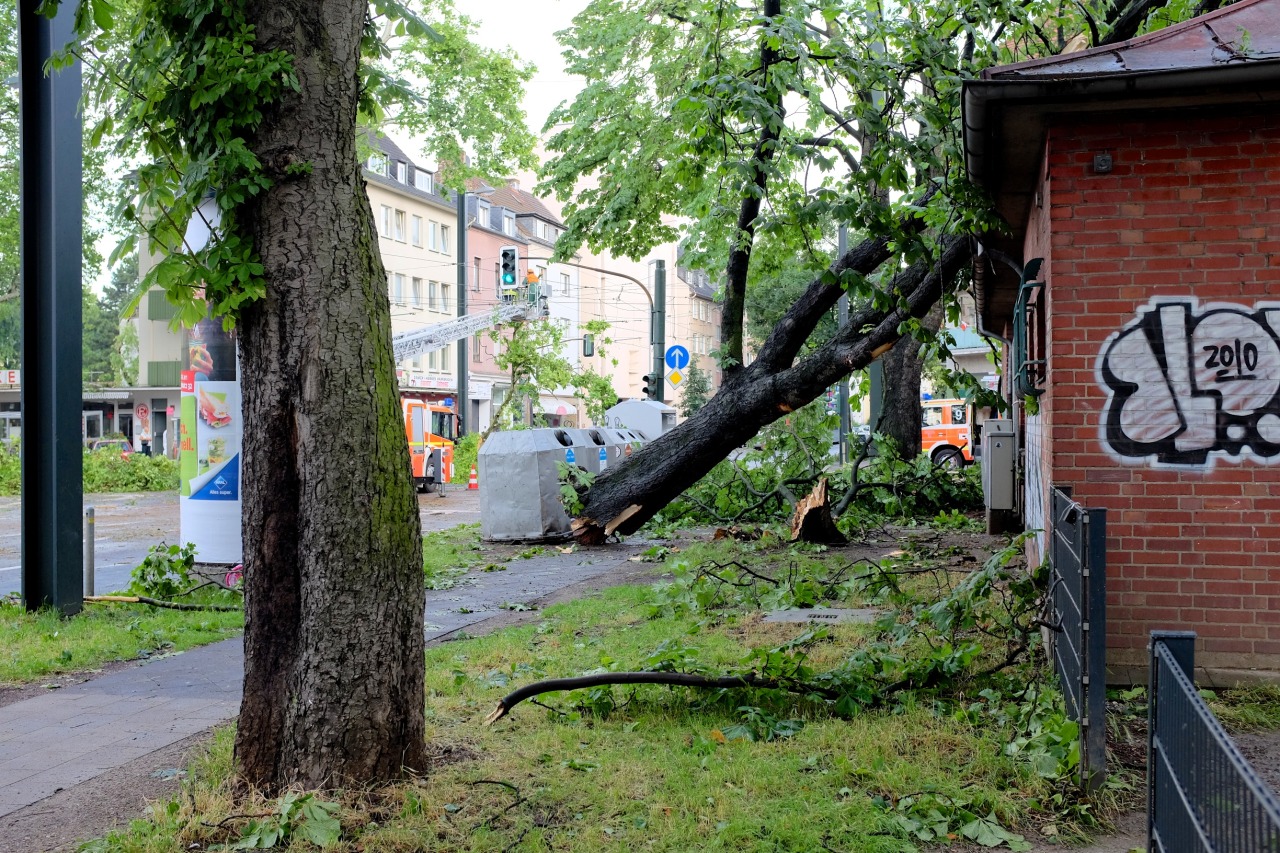 Last night Düsseldorf (and the whole surrounding region) was hit by a storm. These are a few photos I took this morning. They’re all from within only 200 meters from my home, so you might be able to guess what the rest of the city looks like.
I also...