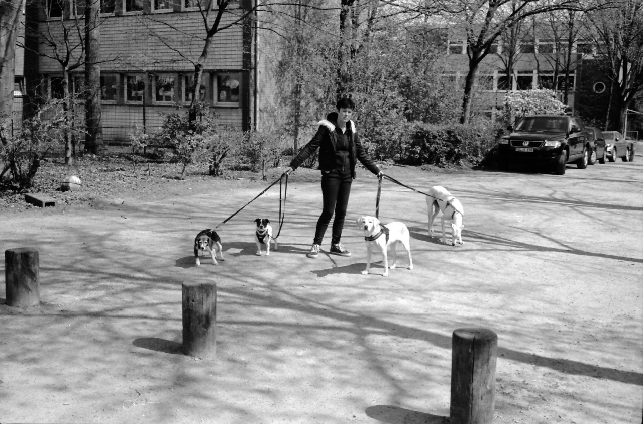 Dog-walker, Hamburg.