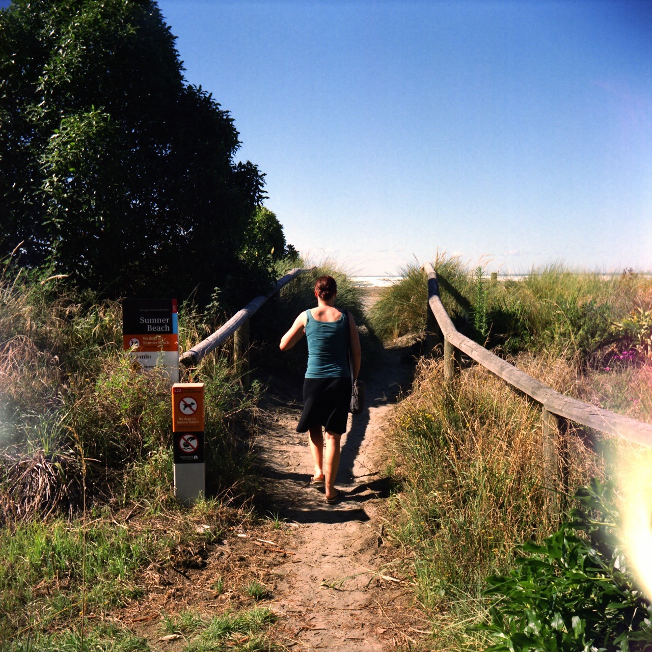 Visiting Sumner – the part of Christchurch we used to live in.