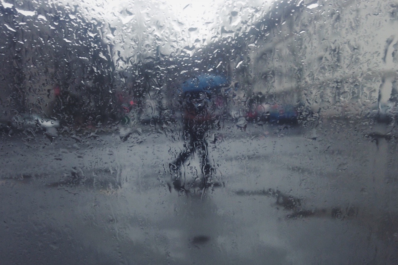 26/365: Just a cold rainy day.