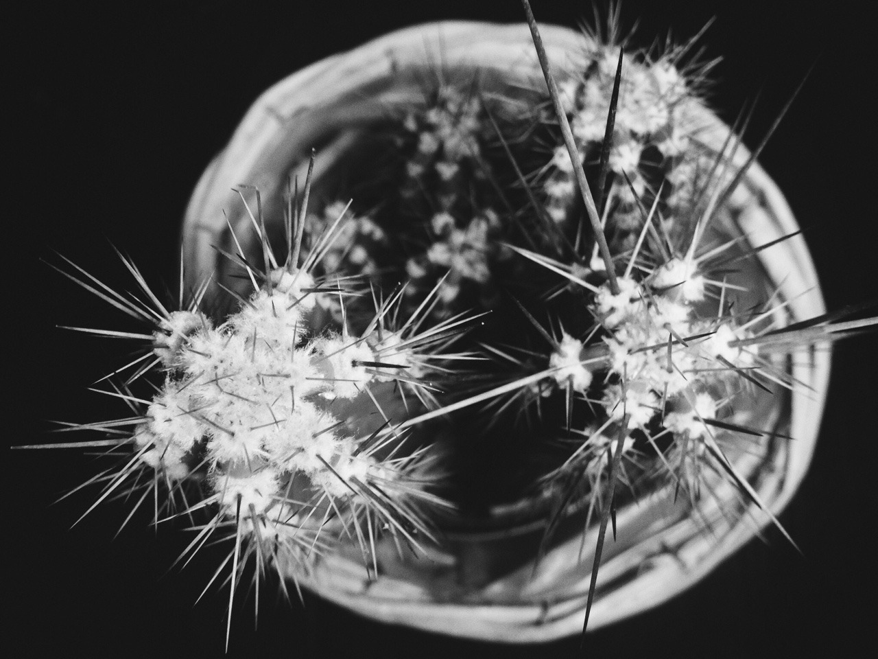 257/365: Going outside is way overrated&hellip;