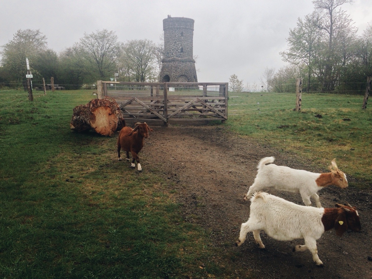 115/365: Auf einem Kurztrip in der Eifel mit Nicoles Familie.