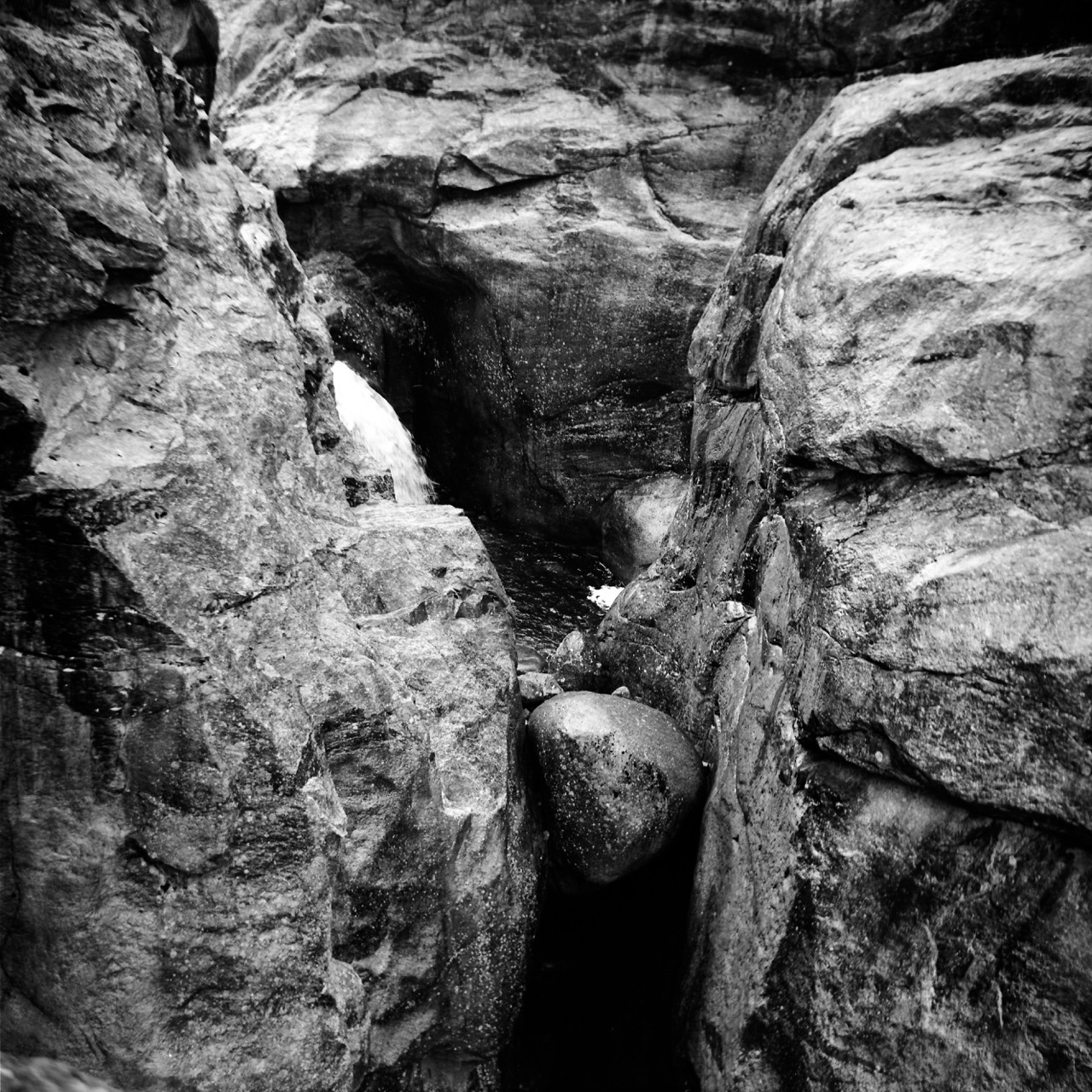 Another Lubitel shot.