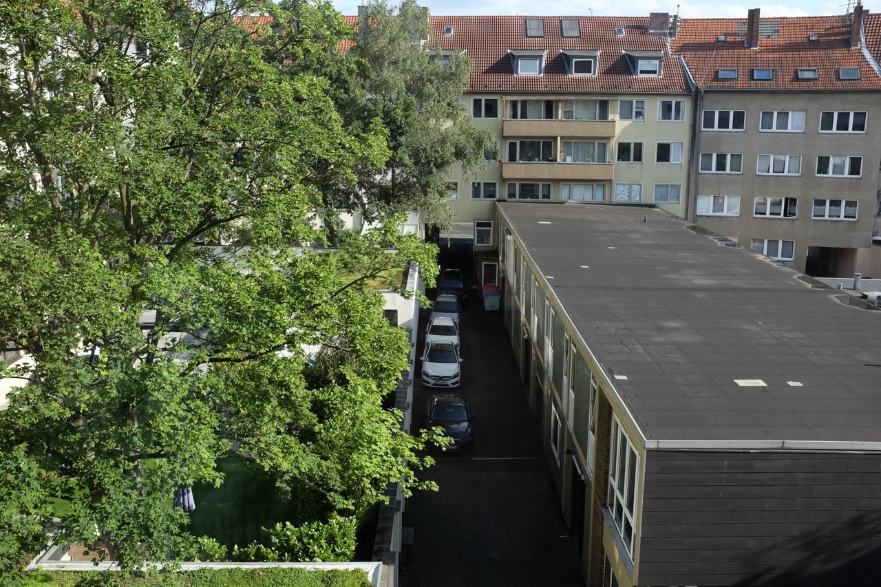237/365: Rear window, August.