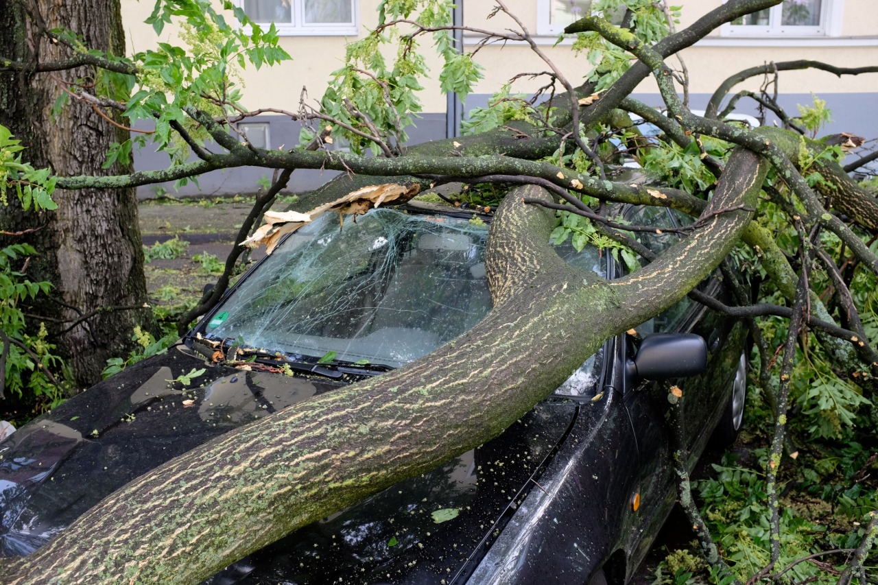 Last night Düsseldorf (and the whole surrounding region) was hit by a storm. These are a few photos I took this morning. They’re all from within only 200 meters from my home, so you might be able to guess what the rest of the city looks like.
I also...