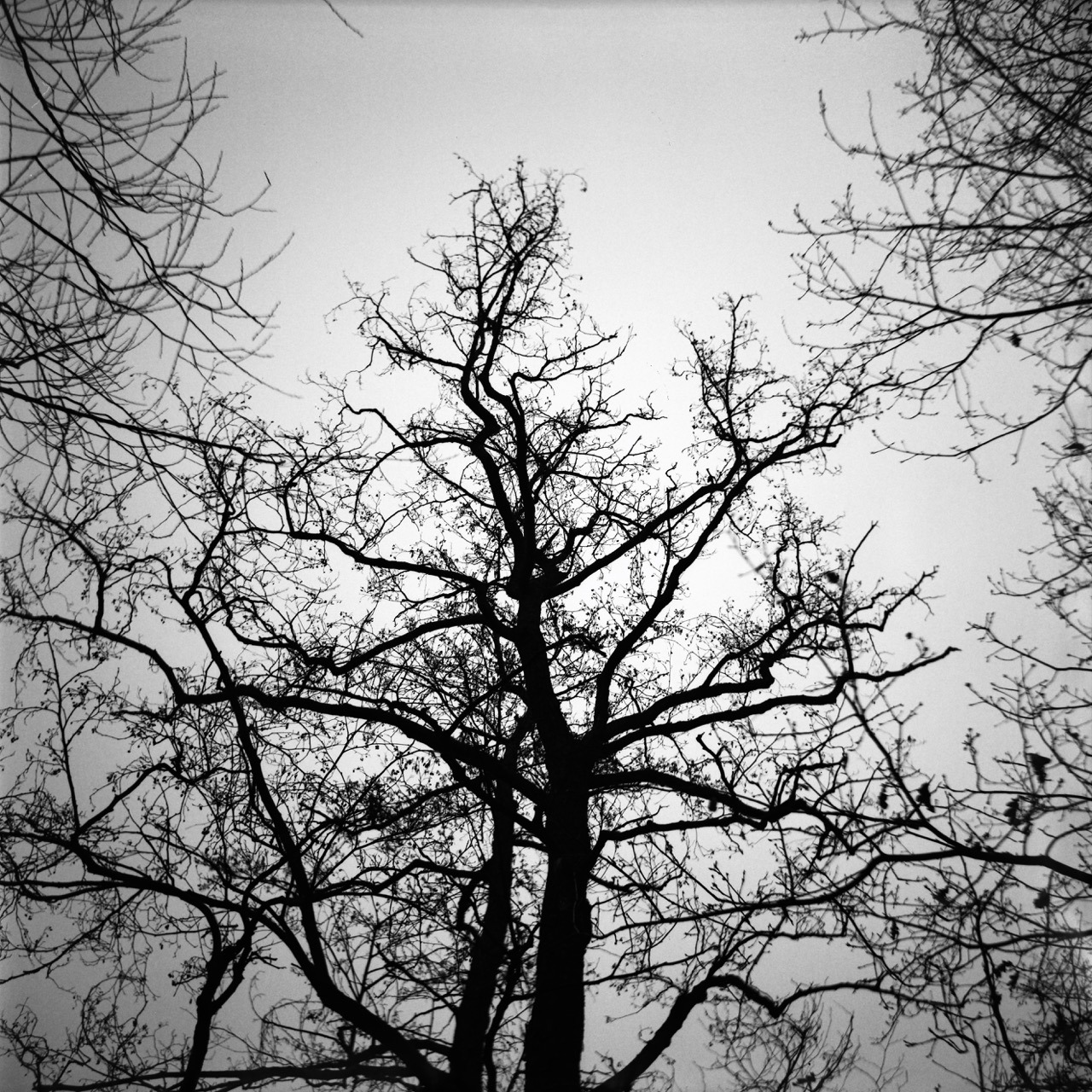 In the woods.
