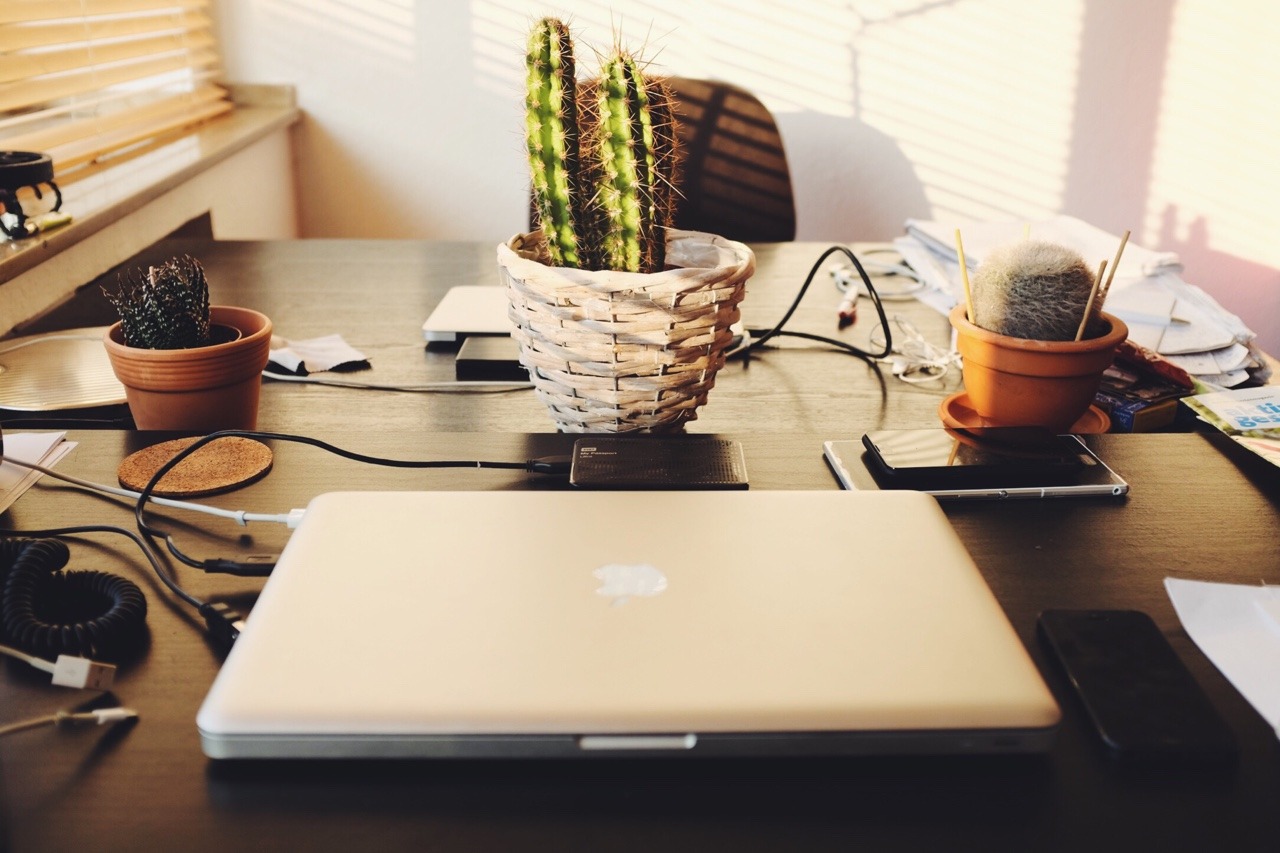 254/365: Tidy desk again. Now with cacti.