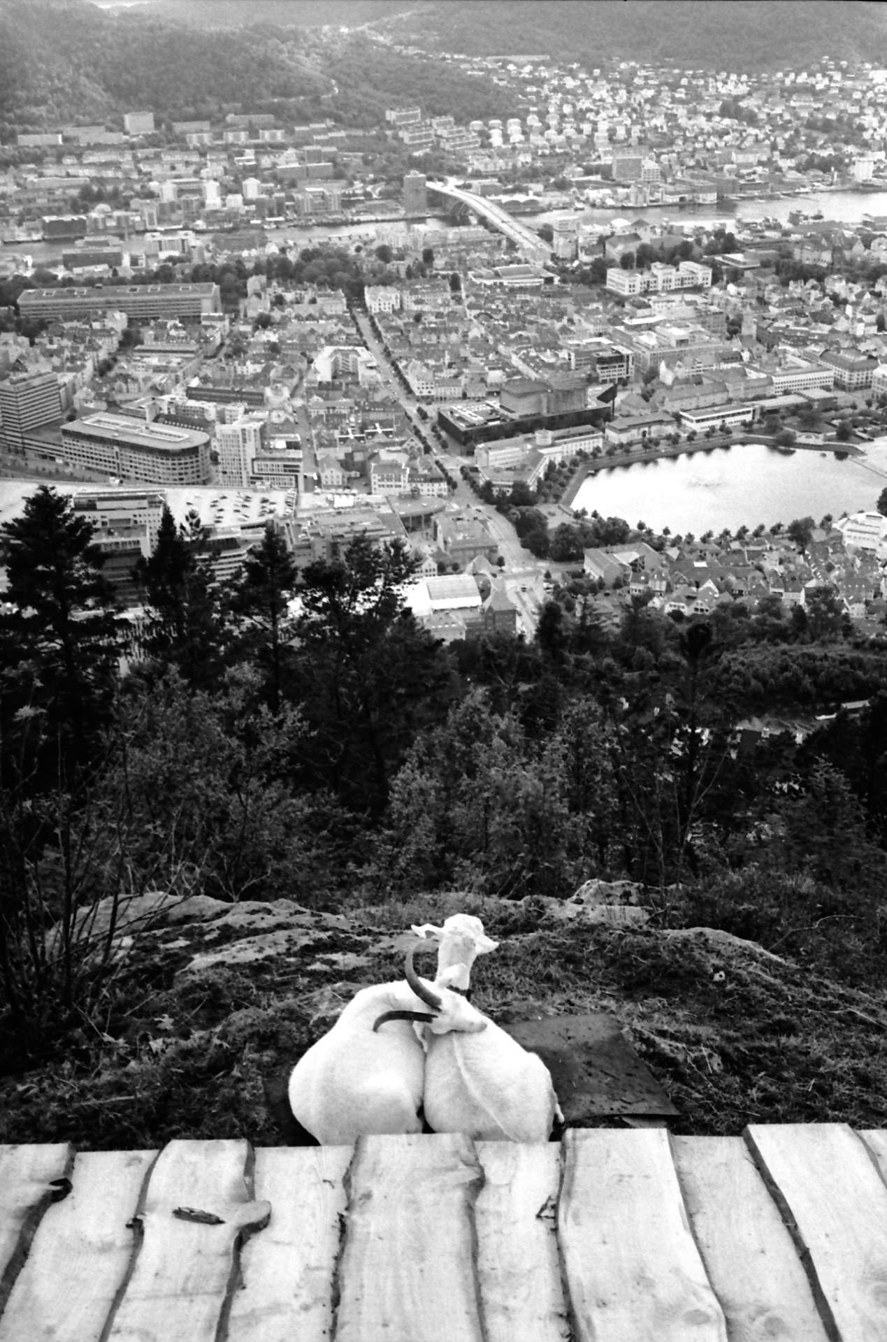 Bergen, Norway. July 2016.