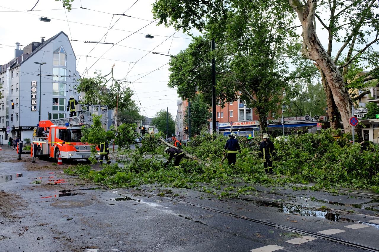 Last night Düsseldorf (and the whole surrounding region) was hit by a storm. These are a few photos I took this morning. They’re all from within only 200 meters from my home, so you might be able to guess what the rest of the city looks like.
I also...