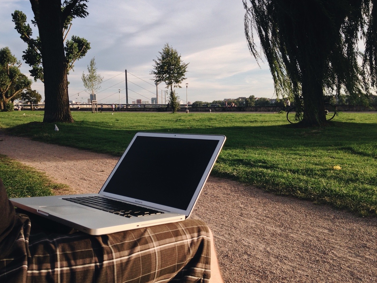 238/365: Working from the park like a pro.