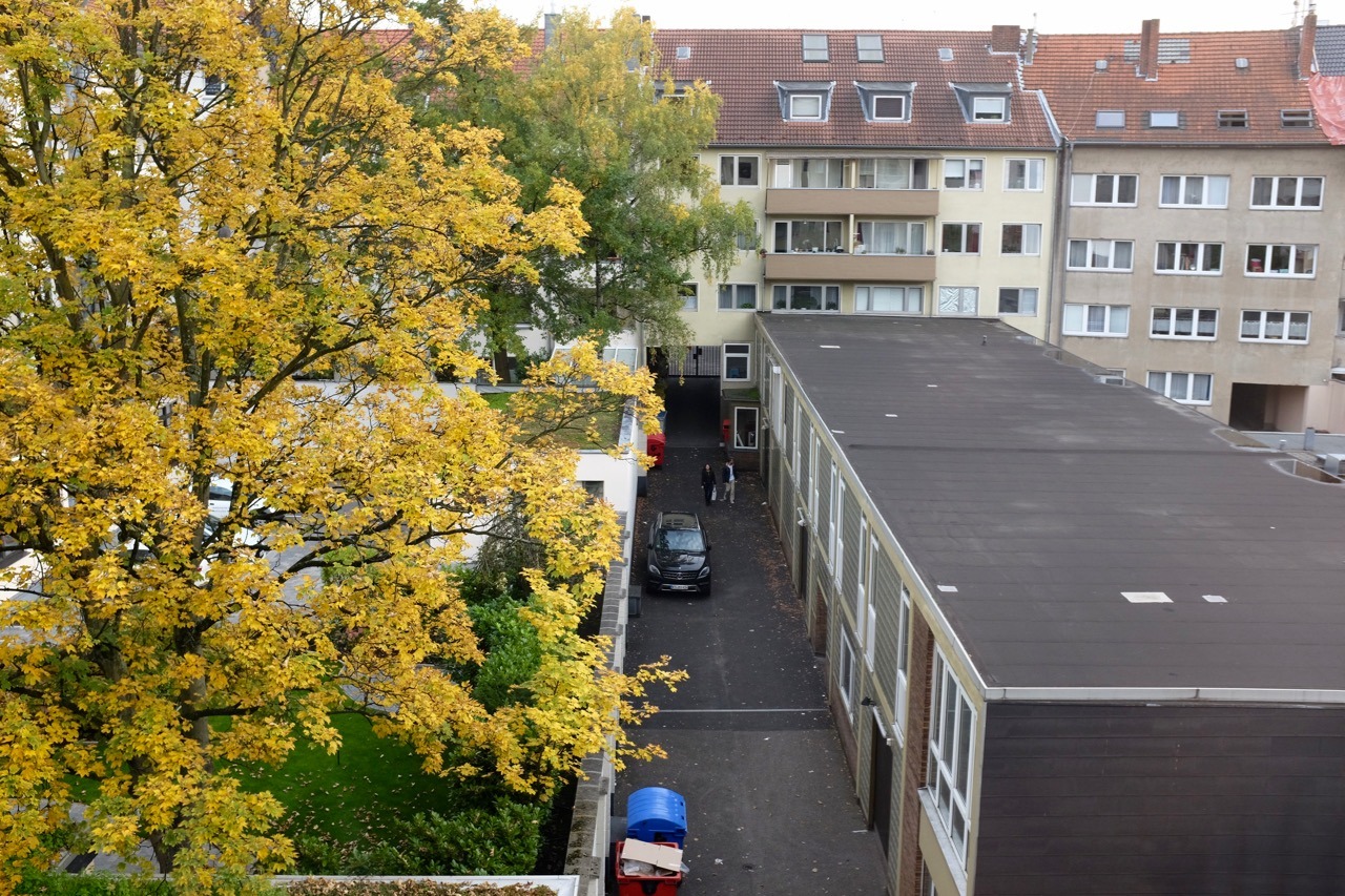 297/365: Rear window, October.
