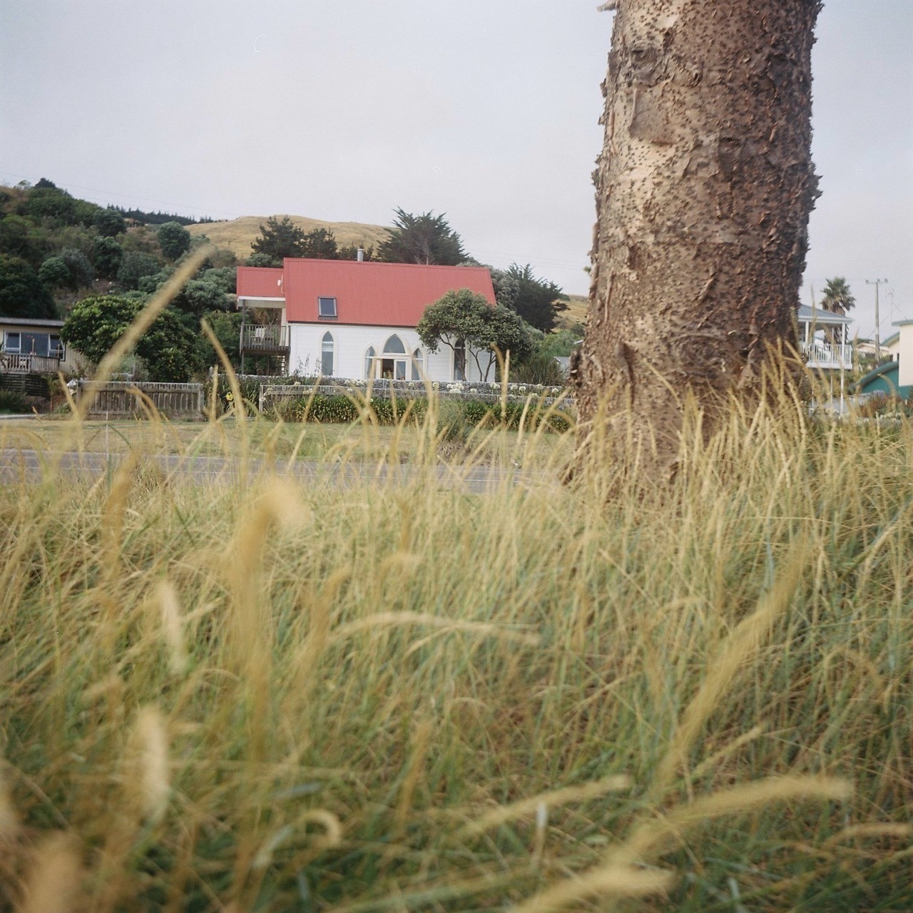 At &ldquo;The Church&rdquo; &ndash; our accommodation while we were in Gisborne. That was also where we had our Rankers meetings.
It was great to finally meet (part of) the Rankers crew in real life and be able to chat for extended periods of time. I&rsquo;ve been working...