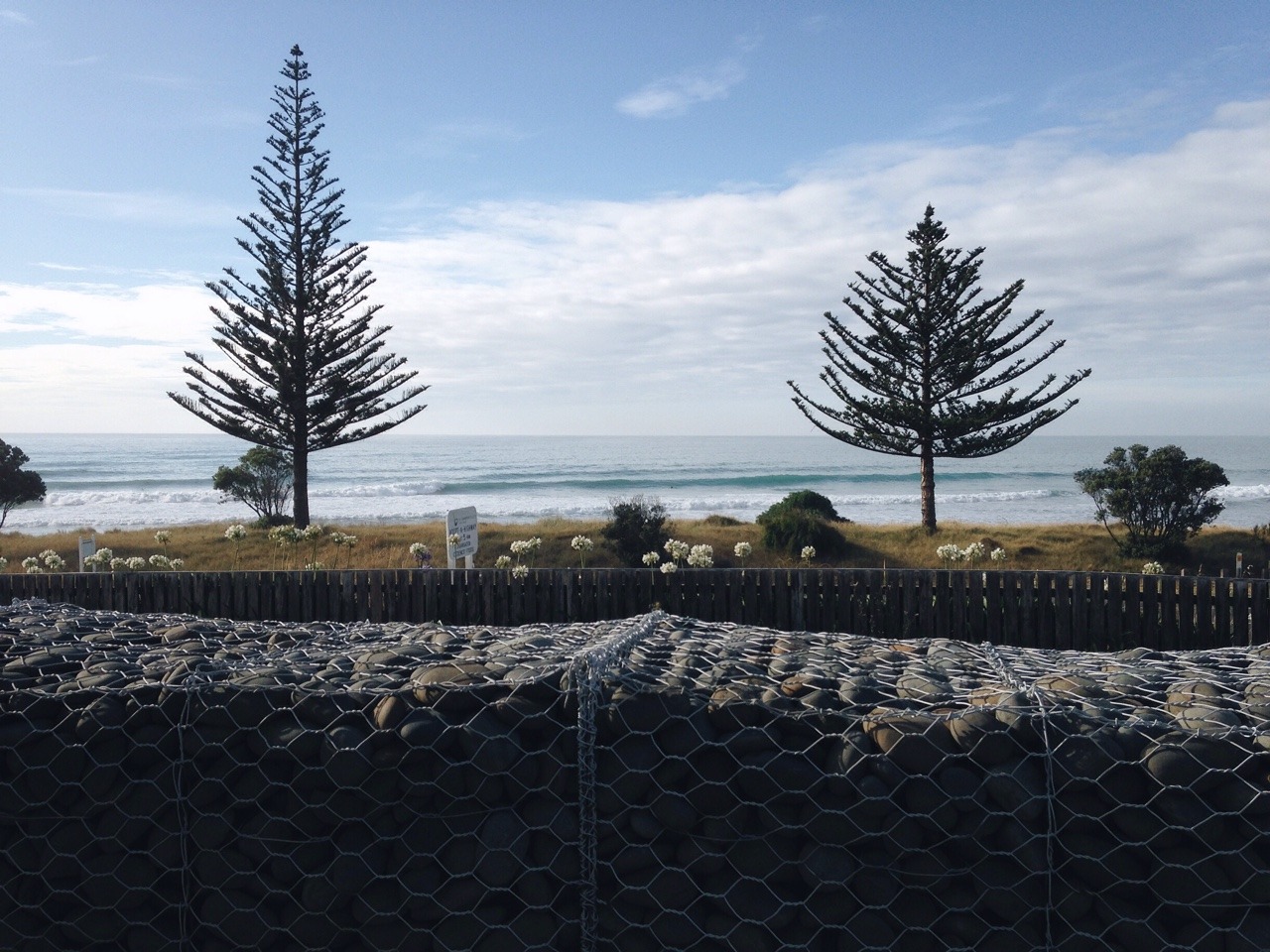 Good morning from Gisborne.