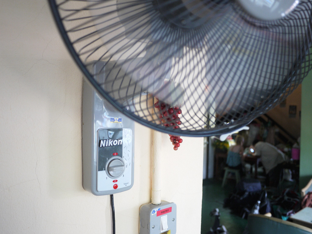 Nikon Fan