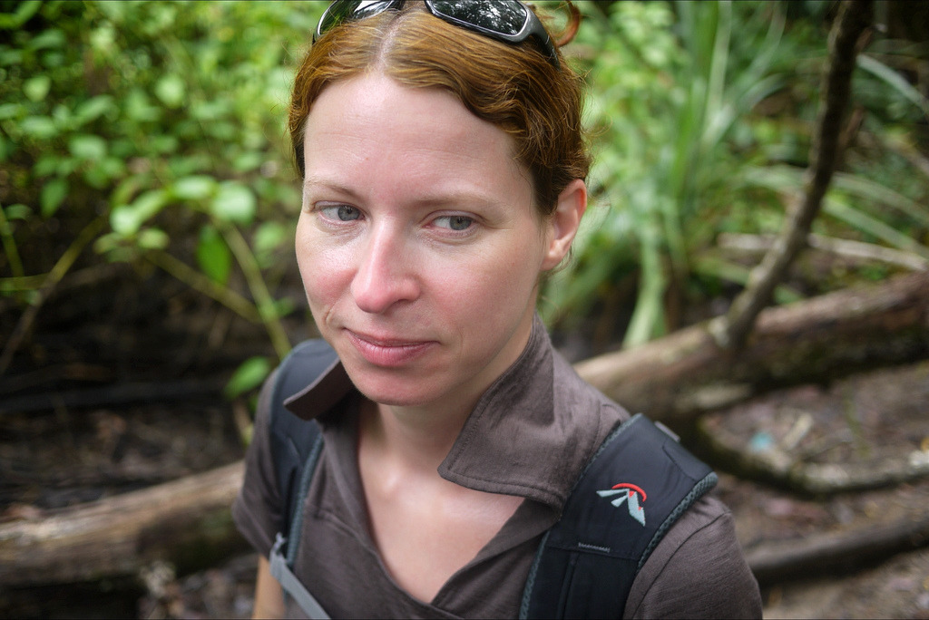 Auf der Hut vor Moskitos