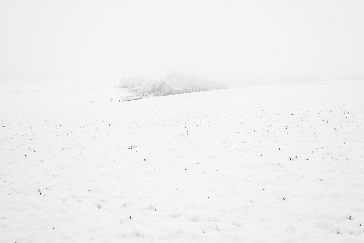 Hm, quite a contrast in weather compared to NZ. Taken this morning in Ratingen, Germany.
