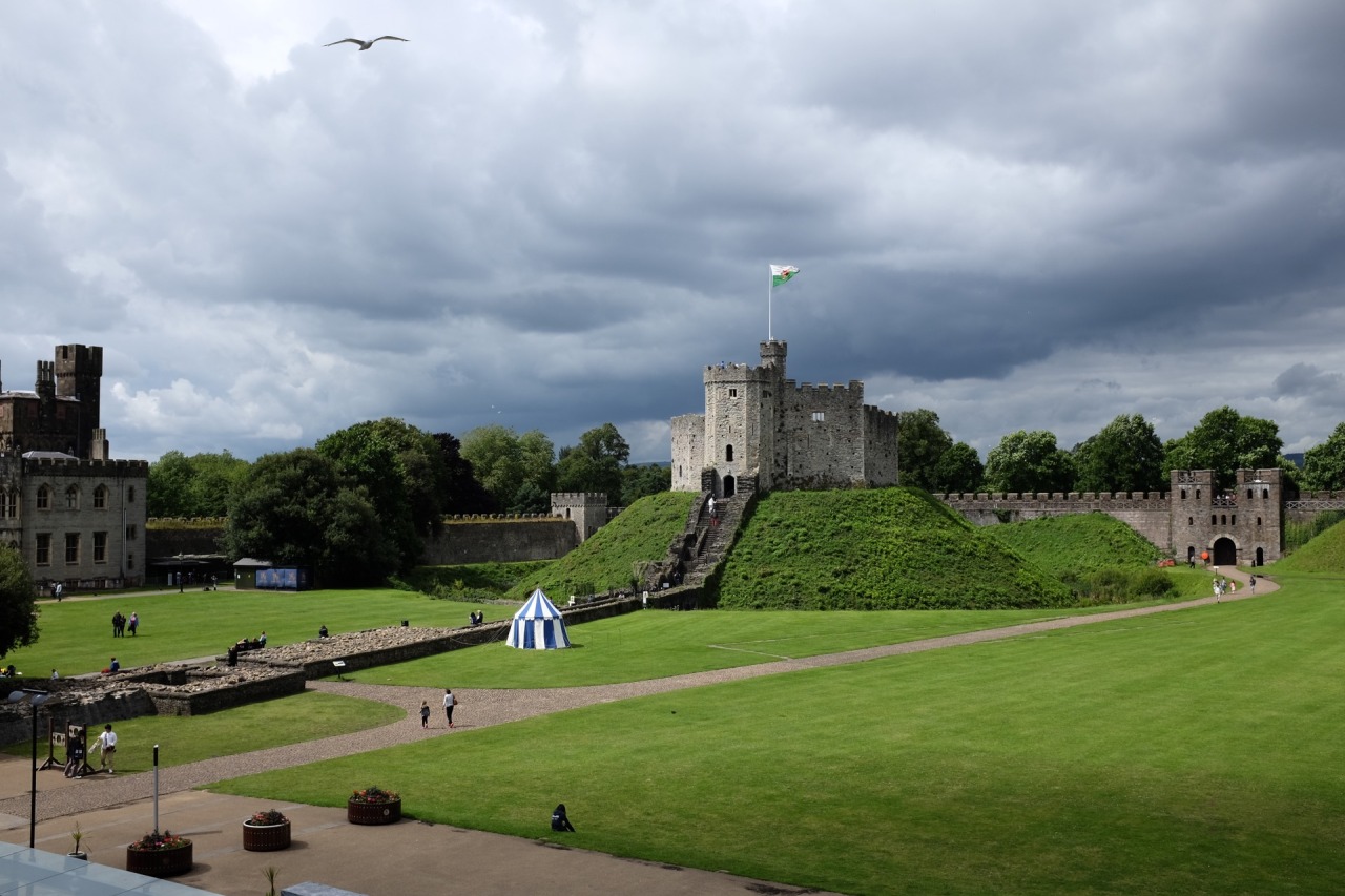 209/365: Cardiff Castle. With seagull.