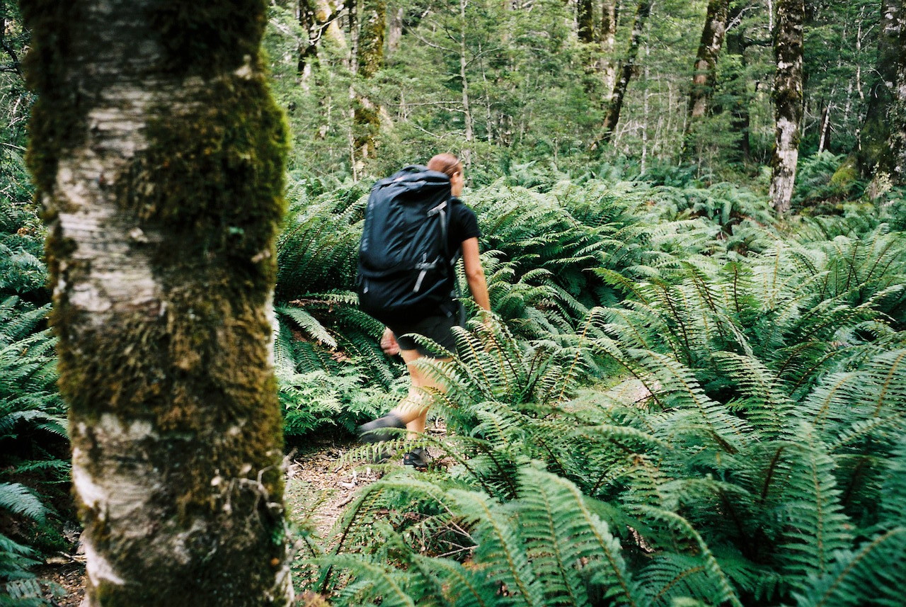 A few impressions from our 3-day walk in the Nelson Lakes National Park.
On the first day, we only started at 5pm. But that wasn&rsquo;t a problem, since we had to walk for only 2 hours before reaching the first hut: Coldwater Hut. That first day was easy...