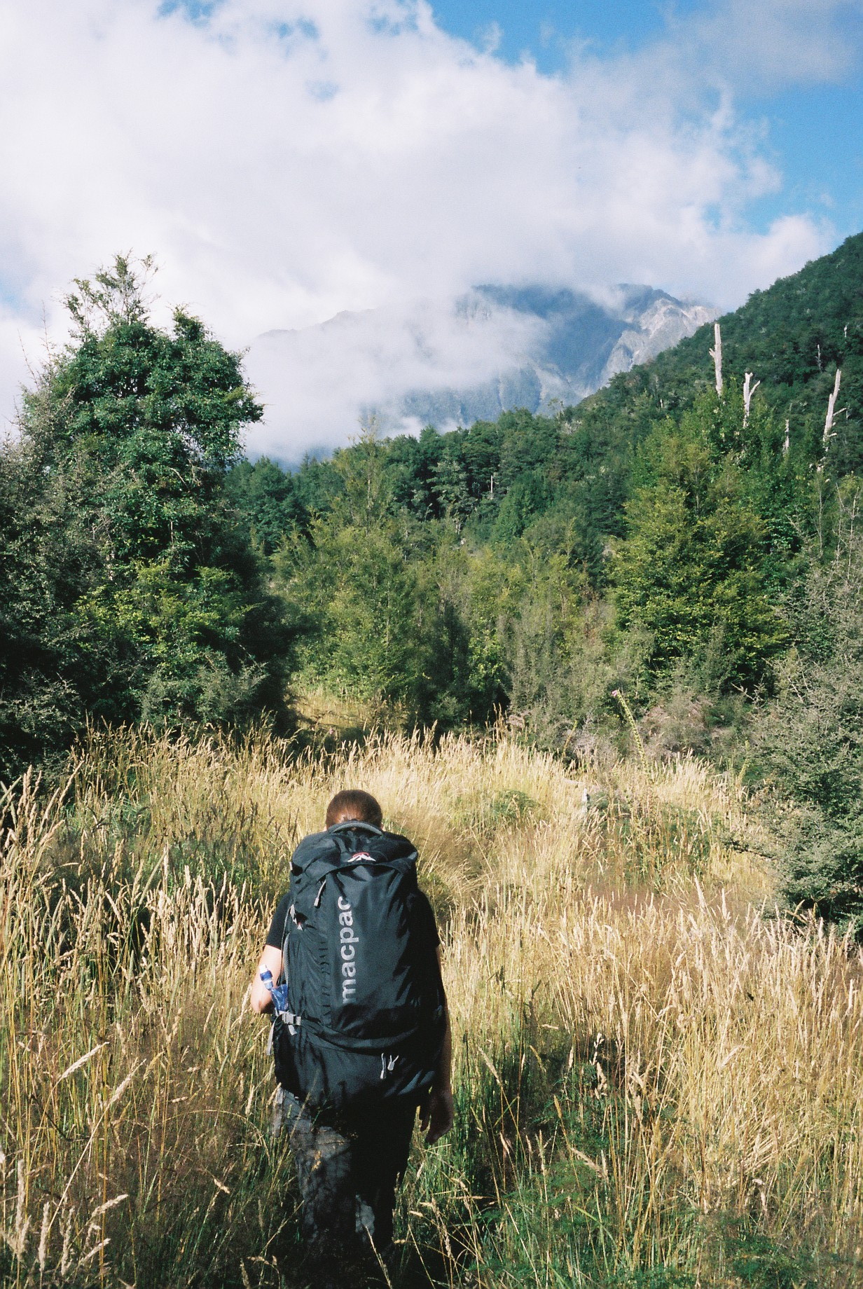 A few impressions from our 3-day walk in the Nelson Lakes National Park.
On the first day, we only started at 5pm. But that wasn&rsquo;t a problem, since we had to walk for only 2 hours before reaching the first hut: Coldwater Hut. That first day was easy...