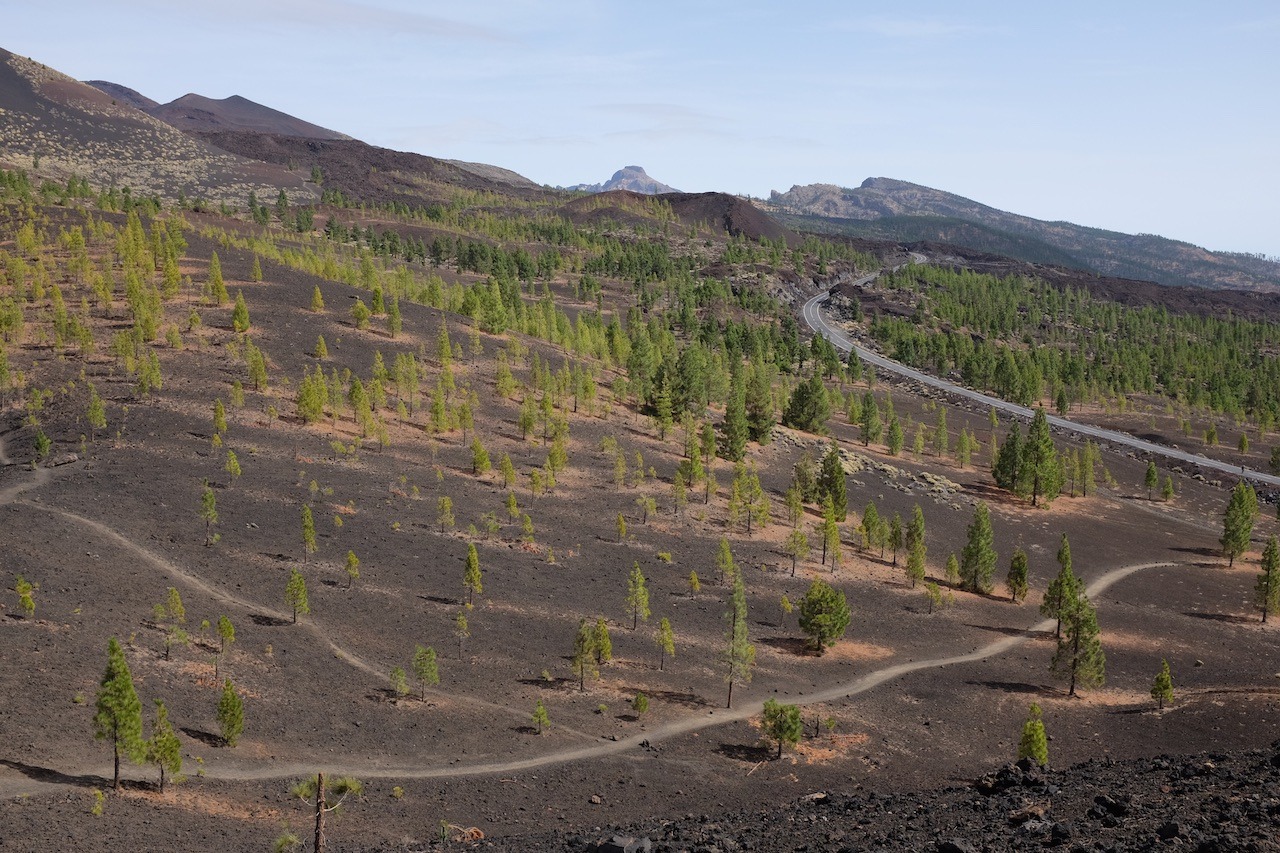 While we spent most of our time on the islands La Gomera and El Hierro, the first two nights we stayed on Tenerife. The day in-between was spent visiting Teide National Park. Unfortunately, we couldn’t go up El Teide itself – Spain’s highest mountain...