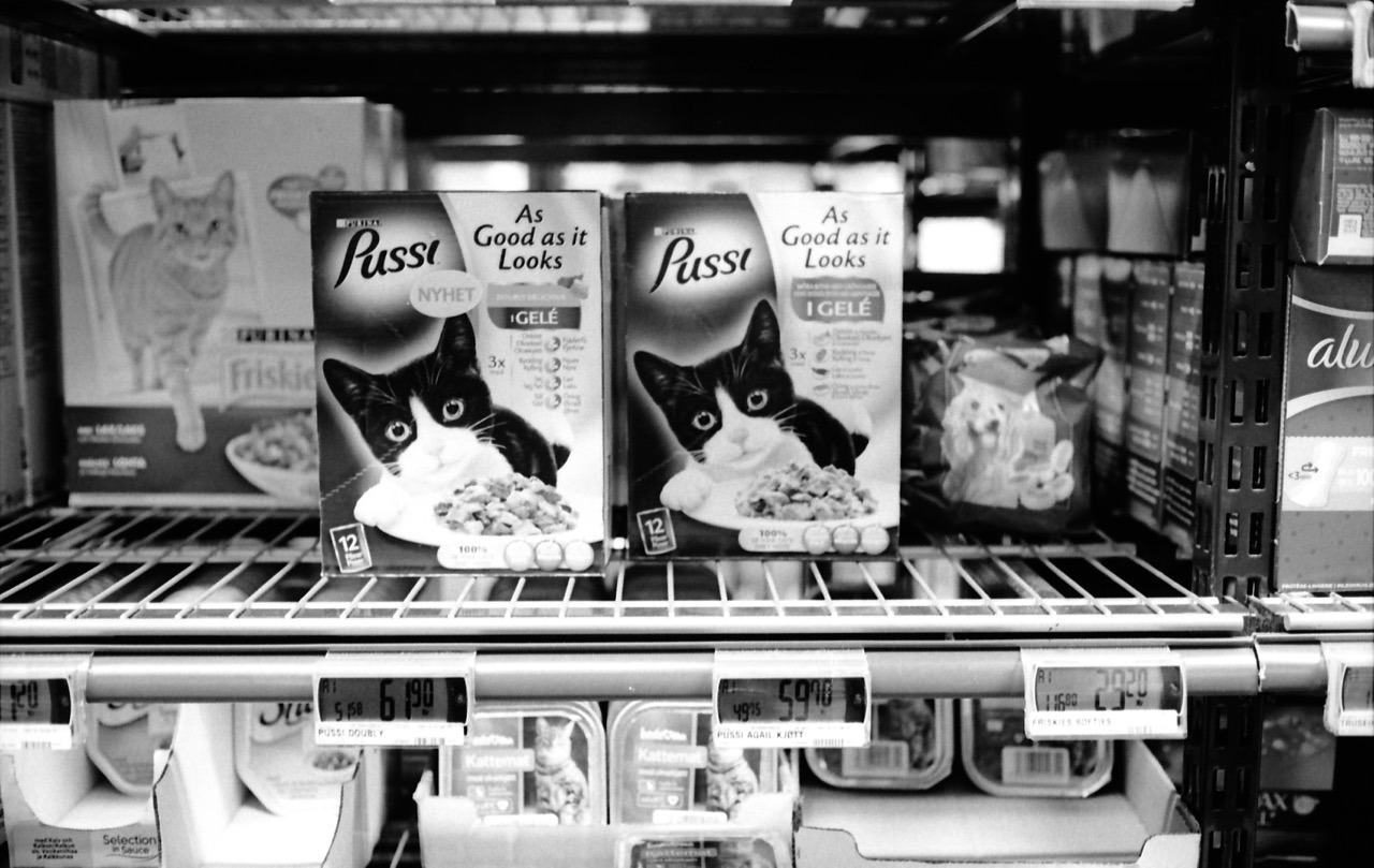 Bergen, Norway. July 2016.