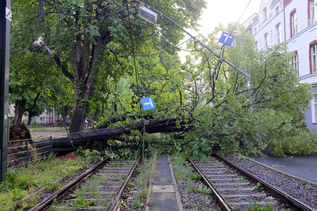 Last night Düsseldorf (and the whole surrounding region) was hit by a storm. These are a few photos I took this morning. They’re all from within only 200 meters from my home, so you might be able to guess what the rest of the city looks like.
I also...