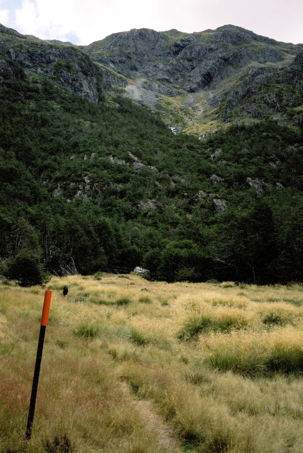 A few impressions from our 3-day walk in the Nelson Lakes National Park.
On the first day, we only started at 5pm. But that wasn&rsquo;t a problem, since we had to walk for only 2 hours before reaching the first hut: Coldwater Hut. That first day was easy...
