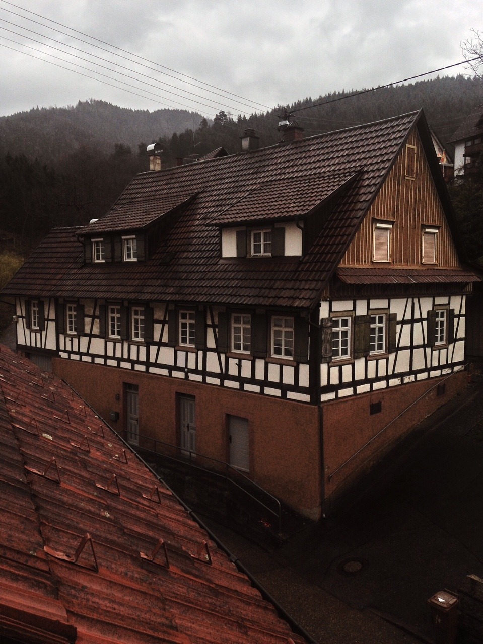 90/365: The view this morning. Langenbrand, Schwarzwald.