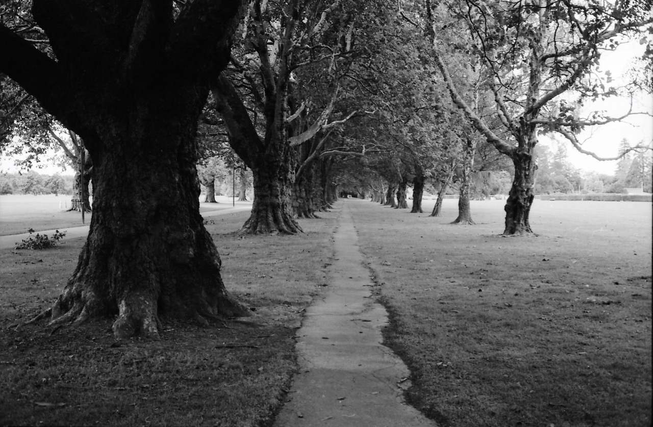 Christchurch, February 2016.