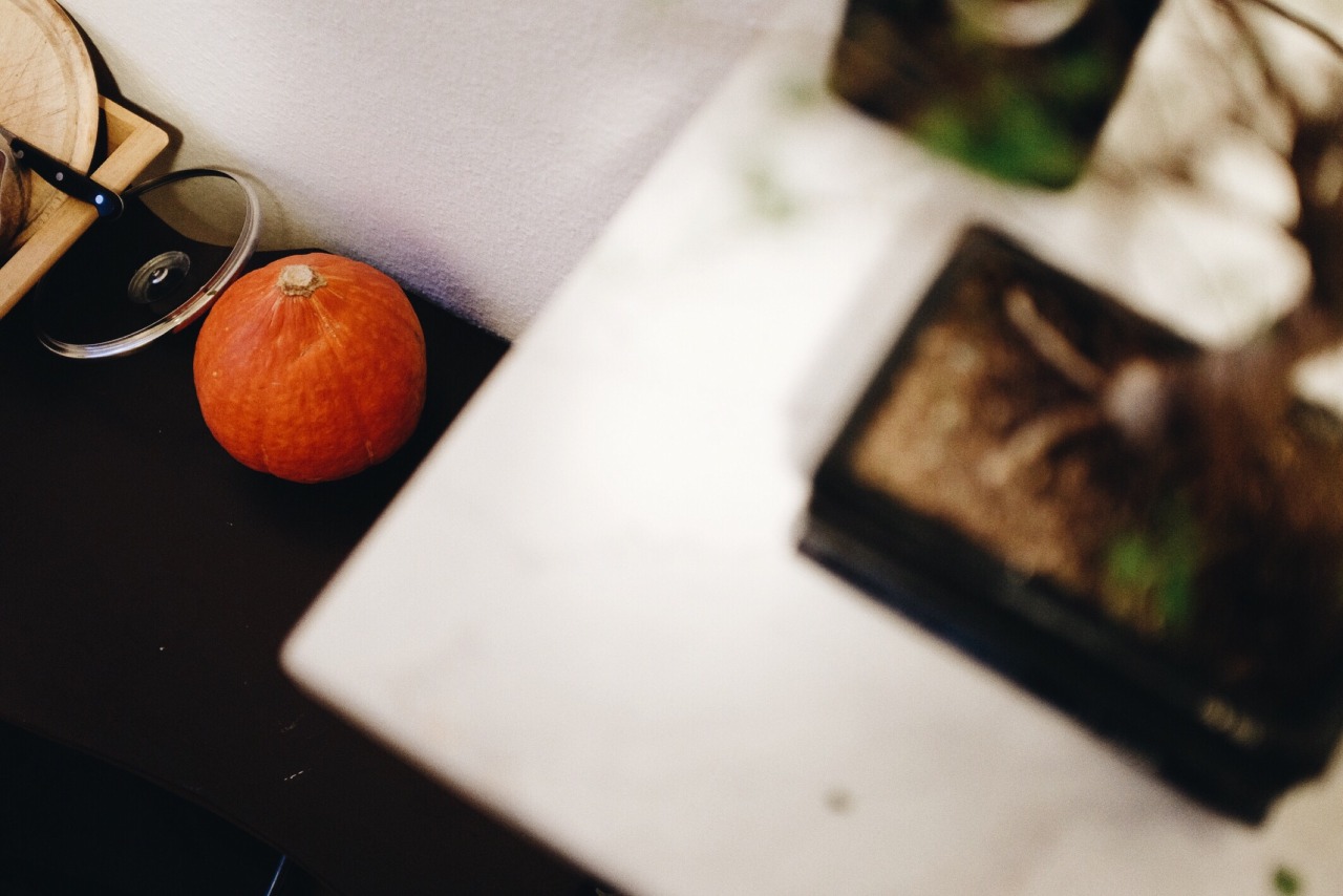 312/365: There&rsquo;s a pumpkin in the kitchen.