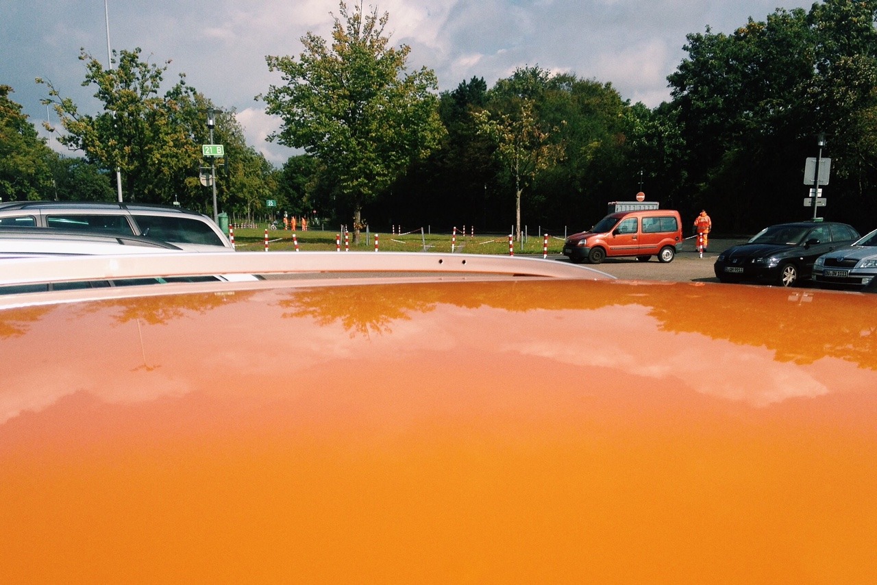 266/365: Orange.
