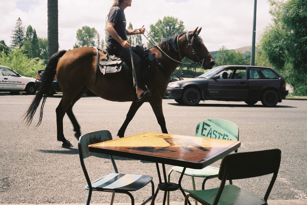 Horse, faster horse. Wairoa.
