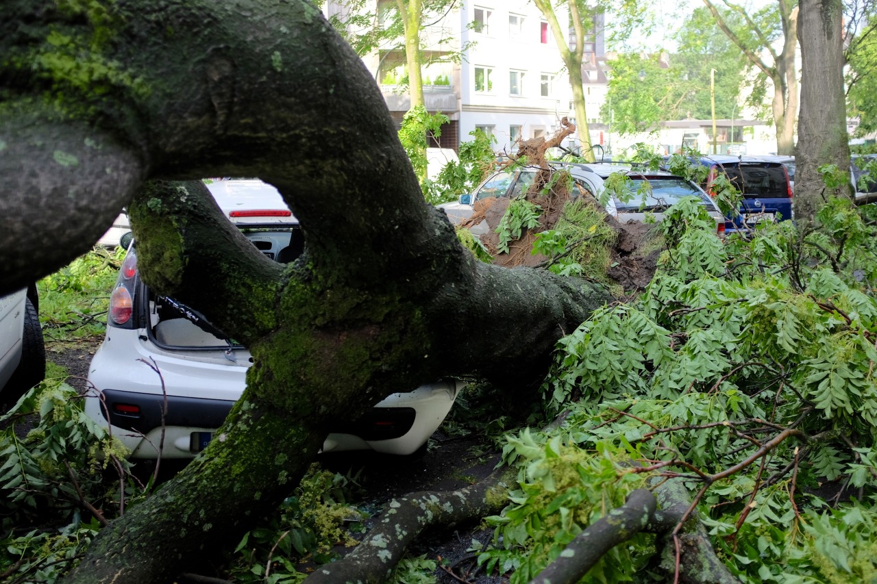 Last night Düsseldorf (and the whole surrounding region) was hit by a storm. These are a few photos I took this morning. They’re all from within only 200 meters from my home, so you might be able to guess what the rest of the city looks like.
I also...