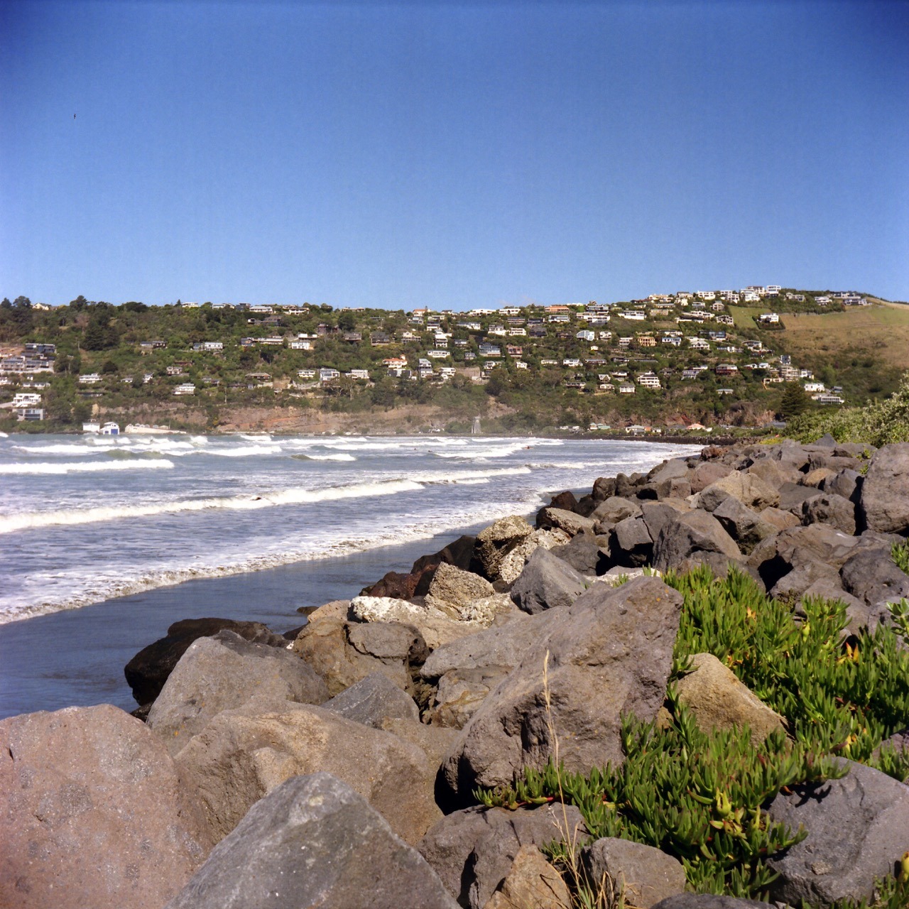 Visiting Sumner – the part of Christchurch we used to live in.