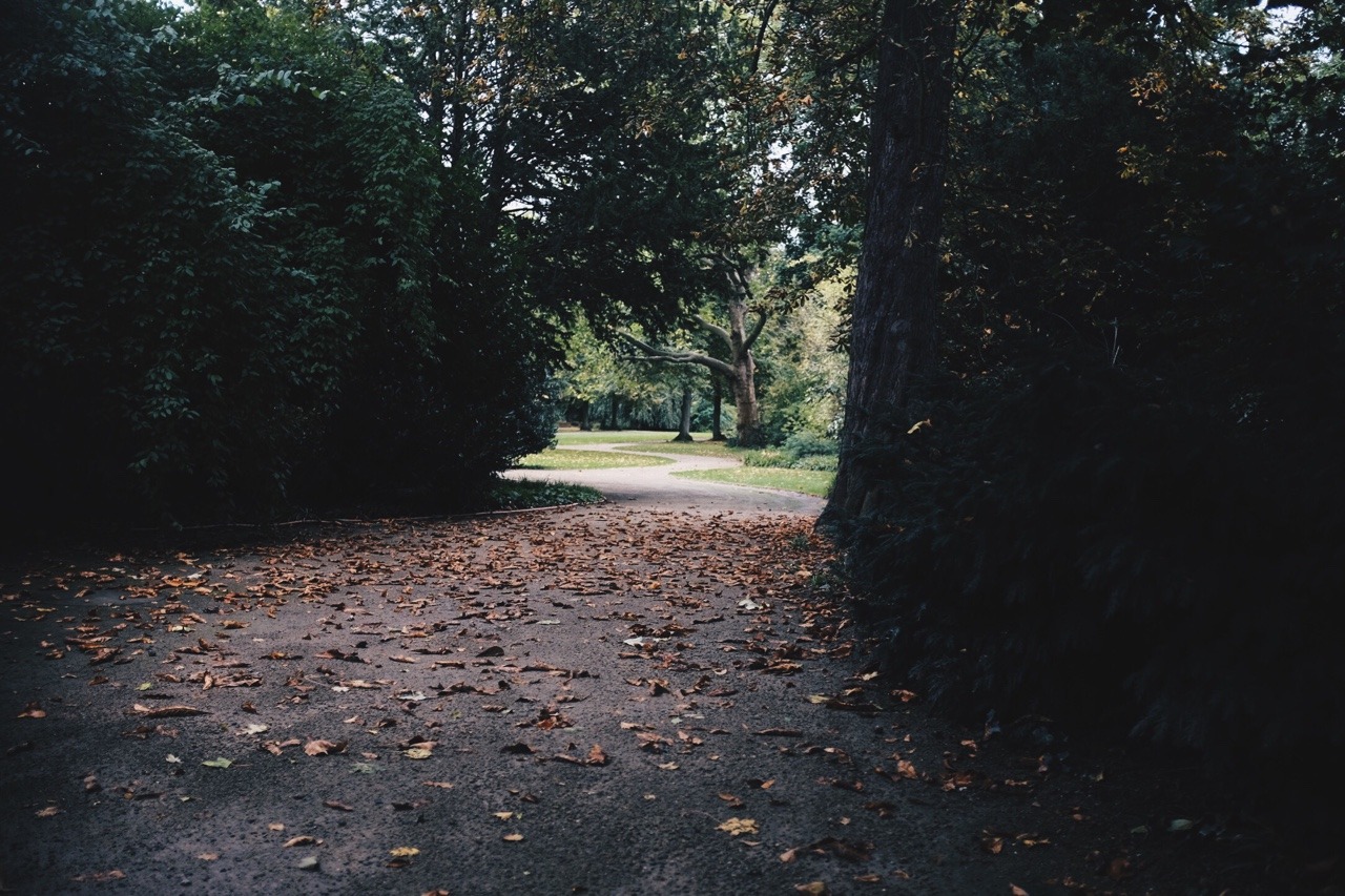 279/365: I guess Autumn has arrived now.