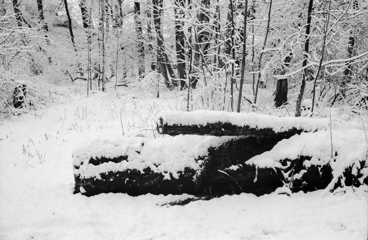 Back in Germany: snow happened!
