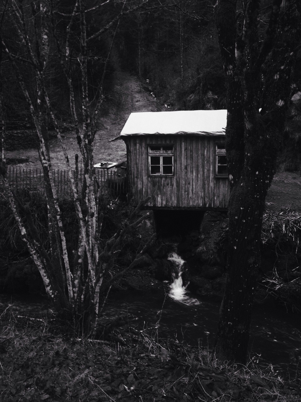 88/365: Die H&uuml;tte im Hexenloch.